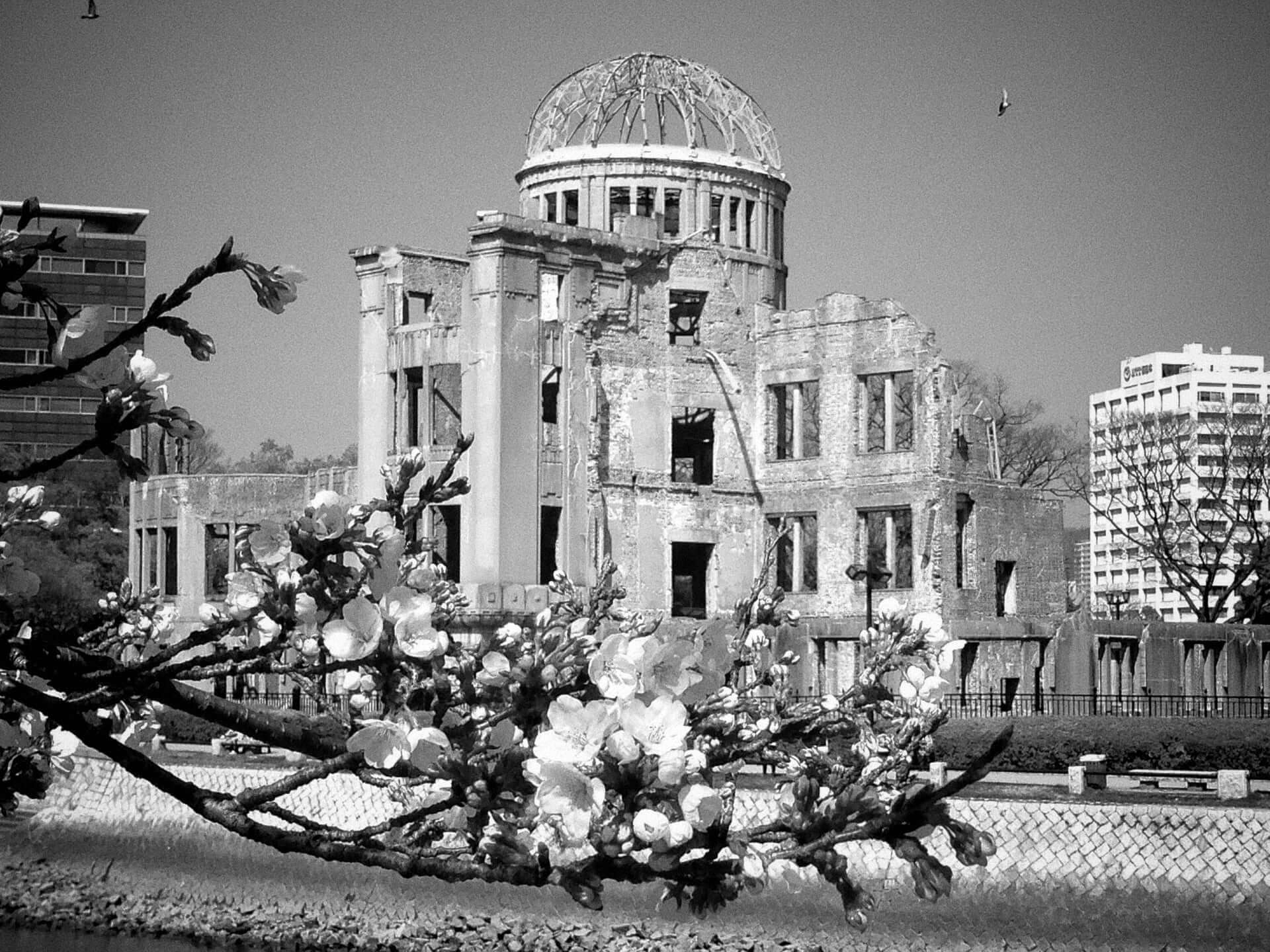 Imagen del monumento de la paz en Hiroshima durante la floración del cerezo.